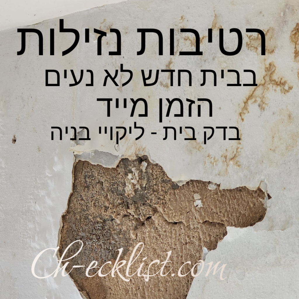בדק בית ליקויי בניה בראשון לציון עם מפקח בניה מקצועי